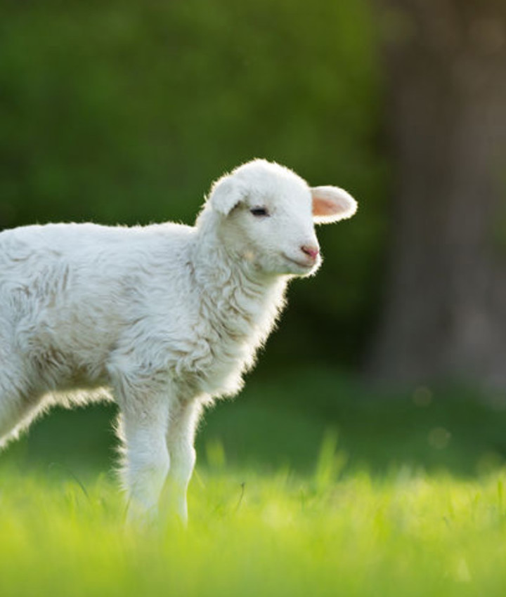 Vind uw| Arrangement